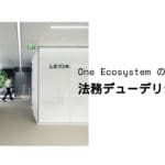 One Ecosystem의 법률 실사